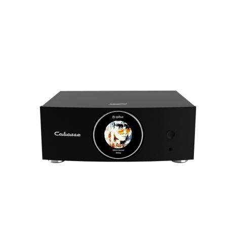 L'ampli connecté Cabasse Abyss est un modèle capable de développer 2 x 120 W sous 8 ohms et d'assurer une écoute optimale dans toute pièce de vie grâce à son système de calibrage et ses nombreux réglages par application.