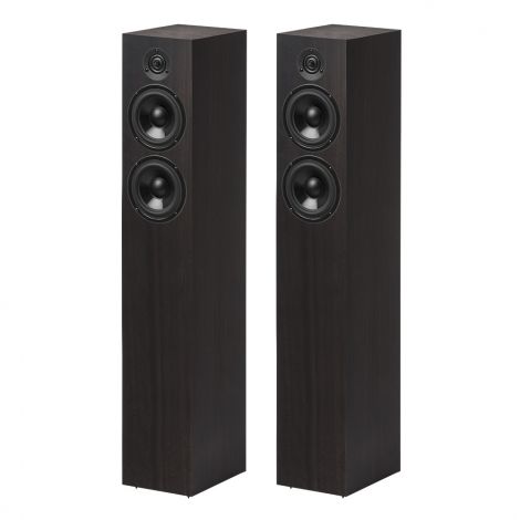 Pro-Ject Speaker Box 10 DS2-Eucalyptus